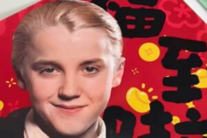 Draco Malfoy simbolo dell'anno del cavallo in Cina
